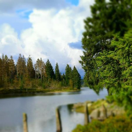 Chalet Platzhirsch Braunlage Dış mekan fotoğraf