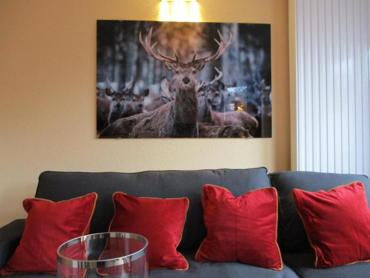 Chalet Platzhirsch Braunlage Dış mekan fotoğraf